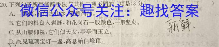 ［深圳一调］2024年深圳市高三年级第一次调研考试语文