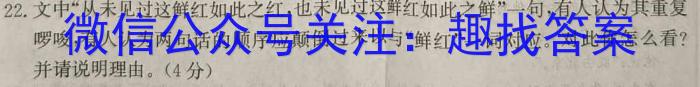 安徽省池州市贵池区2024届九年级（上）期末考试/语文