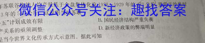 安徽省利辛县2023-2024年学度九年级下学期模拟考试历史