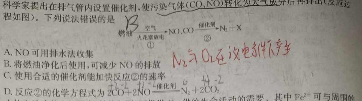 12023-2024届山西省八年级期末检测（1.22）化学试卷答案