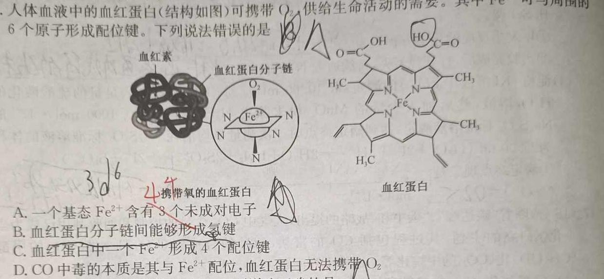 【热荐】伯乐马 2024年普通高等学校招生新高考模拟考试(四)4化学