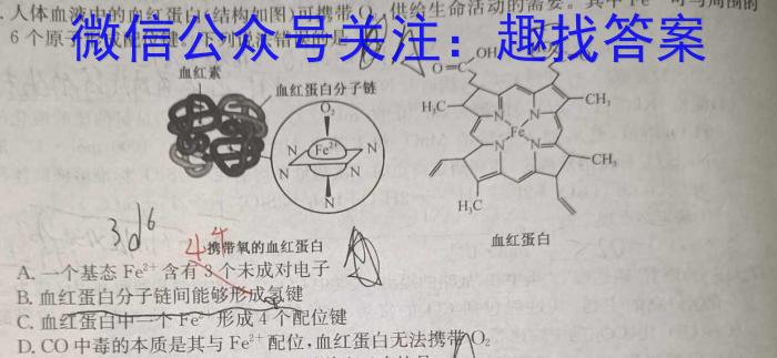 32024届智慧上进 高三总复习双向达标月考调研卷(四)4化学试题