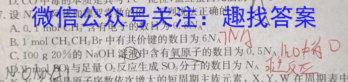 安徽省2023-2024学年第二学期八年级教学素养测评期末联考（6月）数学