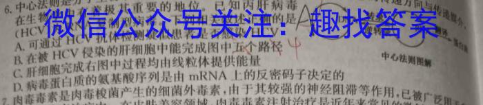 河北省2023-2024学年高一第一学期期末调研考试(24-176A)生物学试题答案