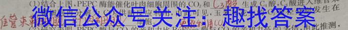 江西省五市九校联考2025届高二1月联考生物学试题答案