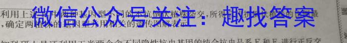 2024年安徽省1号卷·中考智高点·夺魁卷（三）数学