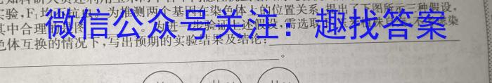 安徽省2024年九年级考试无标题(G)数学