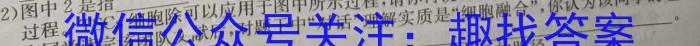 2024年普通高等学校招生全国统一考试 名校联盟·模拟信息卷(T8联盟)(七)生物学试题答案