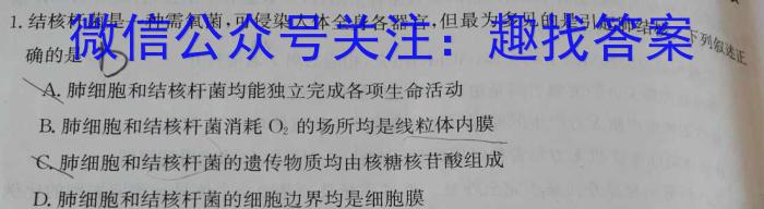 辽宁省鞍山市2023-2024学年度高一下学期月考（4月）数学