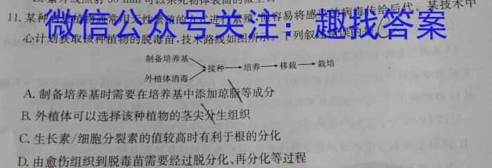 九师联盟 2024届高三2月开学考L答案生物学试题答案