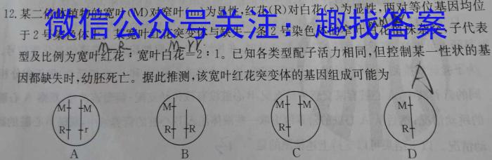 2023-2024学年度八年级第一学期阶段性测试卷(3\4)(TH)数学