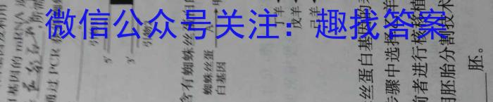 名校计划2024年河北省中考适应性模拟检测（质检型）数学