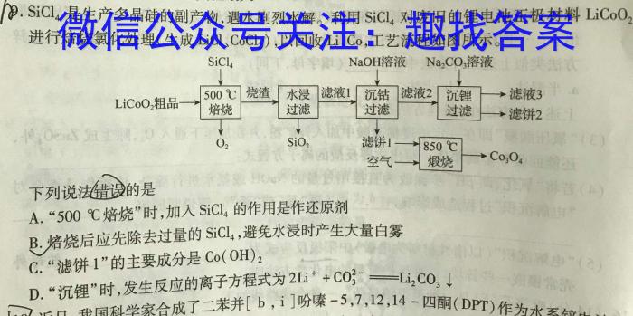 安徽省亳州市利辛县2023-2024学年度第一学期八年级期末教学质量检测数学