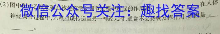 安徽省2023-2024学年度第一学期学校自测评价（九年级）生物学试题答案