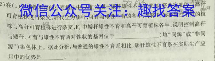 湖南天壹名校联盟2024年上学期高一3月大联考数学