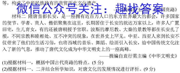 2024届江西省宜春名校联盟九年级综合检测一(24-CZ124c)历史试卷答案