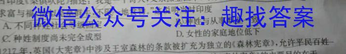 安徽省2024届九年级毕业班第一次模拟考试卷历史试题答案