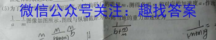 ［邵阳二模］2024年邵阳市高三第二次联考试题卷物理试卷答案