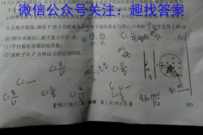 福建省晋江市安海镇2024年初一新生素养测试（入学考试）物理试卷答案