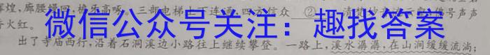 咸宁市2023-2024学年度下学期高二年级高中期末考试语文