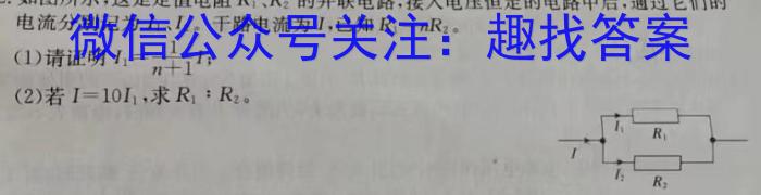 2024年河北省初中毕业生升学文化课考试模拟(八)8物理试卷答案