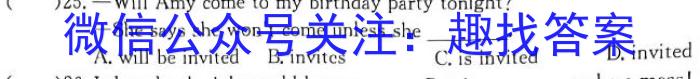 安徽省宿州市省、市示范高中2023-2024学年度高一第二学期期中教学质量检测英语