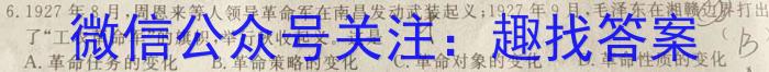 安徽省2023-2024年度（上）九年级期末学情调研历史试卷答案