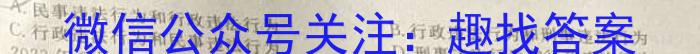 河南省2023-2024学年度八年级下学期阶段评估(二)[7L-HEN]政治试卷d答案