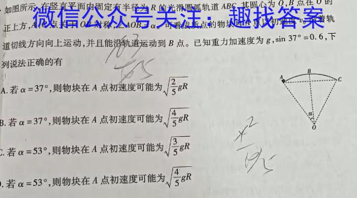 河北省石家庄市2023~2024学年度高二第一学期期末教学质量检测物理试卷答案