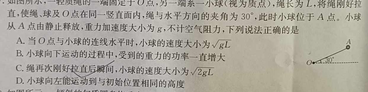 [今日更新]安徽省蒙城县2023-2024年度第一学期七年级义务教育教学质量检测.物理试卷答案