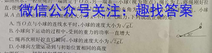 广西国品文化 2023~2024学年新教材新高考桂柳信息冲刺金卷(二)2物理