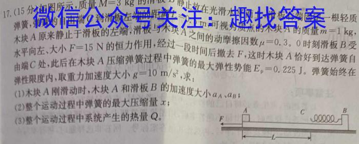 吉林省2024年名校调研系列卷·九年级第一次模拟测试（四）物理试卷答案