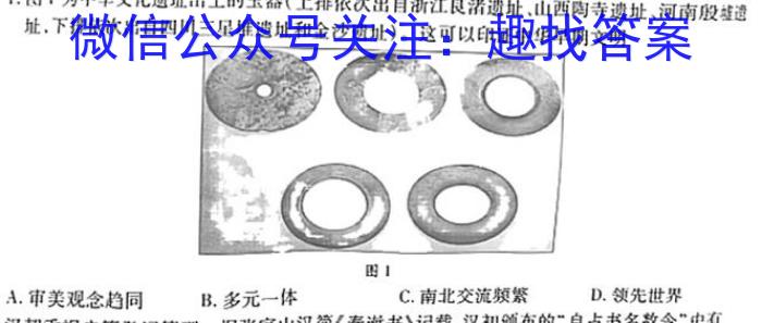 真题密卷 2024年普通高等学校招生全国统一考试模拟试题·冲顶实战演练(二)2历史试题答案