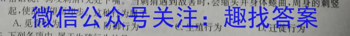 甘肃省2023-2024学年高二第二学期期中考试(24593B)数学