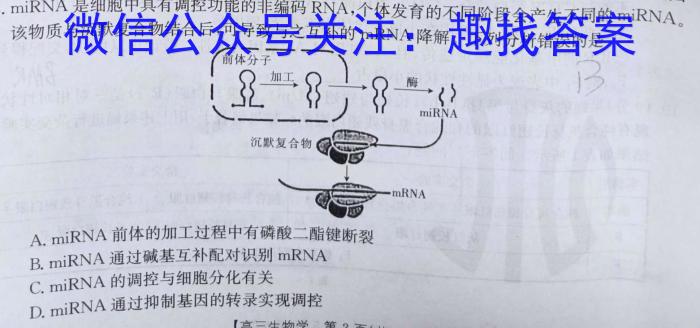 国考1号17月卷高中2025届毕业班基础知识滚动测试(一)生物学试题答案