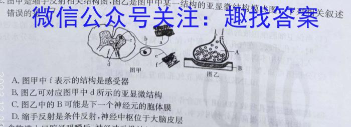 衡中同卷 2024届 信息卷(四)4生物学试题答案