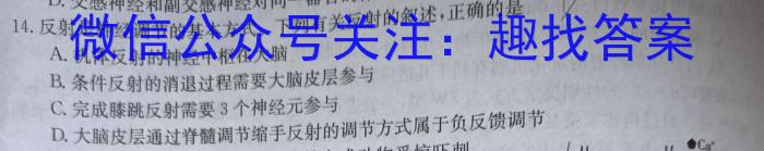 安徽省2025届高三第一学期开学质量检测（8月）生物学试题答案