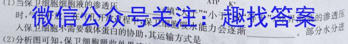 2024年江西省赣州市高三摸底(3月)数学