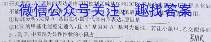 全国名校大联考2023~2024高三第八次联考(月考)试卷生物学试题答案