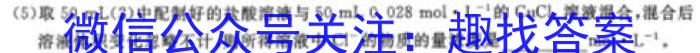 2024年普通高等学校招生全国统一考试名校联盟压轴卷(T8联盟)(一)数学