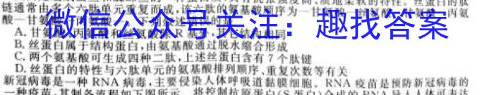 陕西省2024届高三模拟检测试卷（正方形套菱形）数学