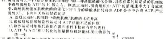 河南省2023-2024学年普通高中高三第二次教学质量检测生物