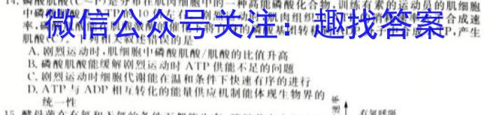 江苏省扬州市江都区2023-2024学年度第二学期期中检测试题高一数学