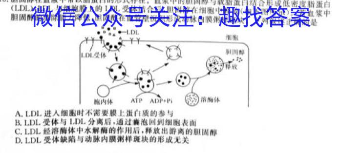 陕西省2024年凤翔区初中学业水平第一次模考卷英语