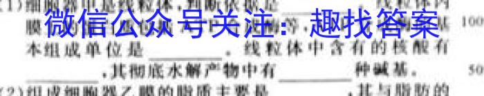 安徽省六安市某校2024届初三阶段性目标检测（七）英语