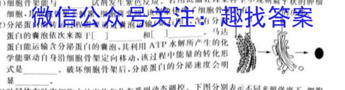 [合肥一模]安徽省2024年合肥市高三第一次教学质量检测数学