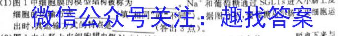 山西省2024年中考总复习专题训练 SHX(八)8生物学试题答案