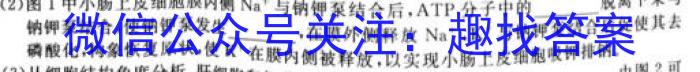 [三省三校二模]东北三省2024年高三第二次联合模拟考试生物学试题答案