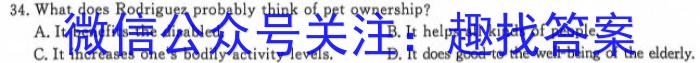 2024普通高等学校招生全国统一考试·模拟调研卷(四)4英语