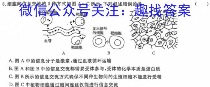 天一大联考 鹤壁市2023-2024学年下期高二教学质量调研测试生物学试题答案